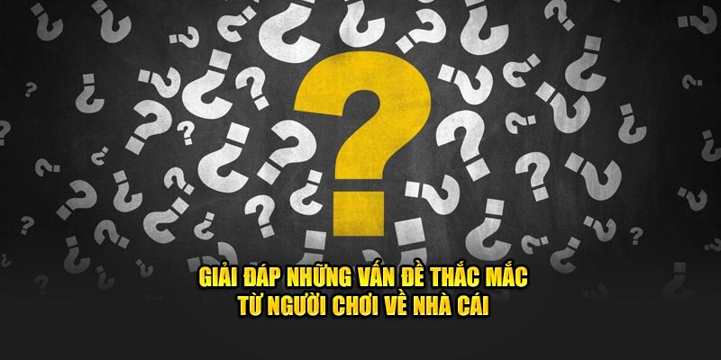 Câu hỏi thường gặp 